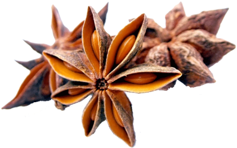 Star Anise - Anise Herbal (500x500), Png Download