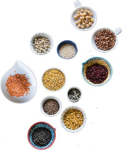 Our Goal Is To Serve High Quality, Delicious Food Quickly - Sesame (400x499), Png Download