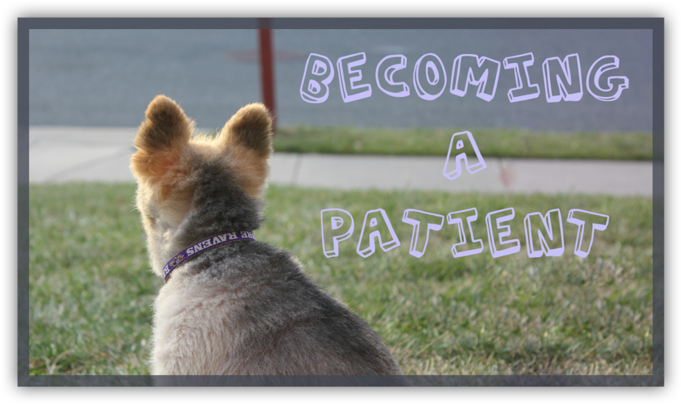 Patient - Physician (1000x600), Png Download