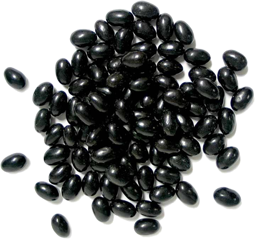 Black Soybean Png (500x500), Png Download