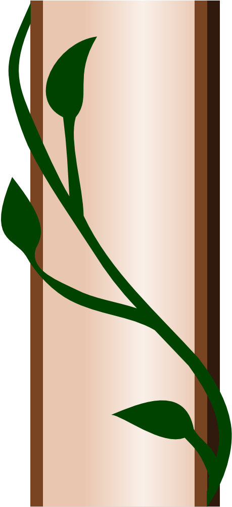 Vine, Climbing Plant, Clamberer, Plant, Creeping Plant - Border Clip Art (320x640), Png Download