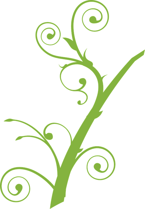 19 Vines Clipart Grass Huge Freebie Download For Powerpoint - Tree Branch Clip Art (500x720), Png Download