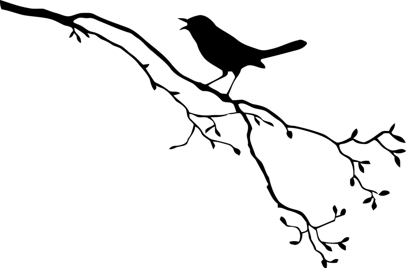 S/1232809298, Birds On The Branches - Bird On Branch Silhouette Png (800x528), Png Download