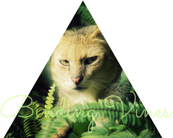 Binding Vines Banner - Tabby Cat (602x448), Png Download