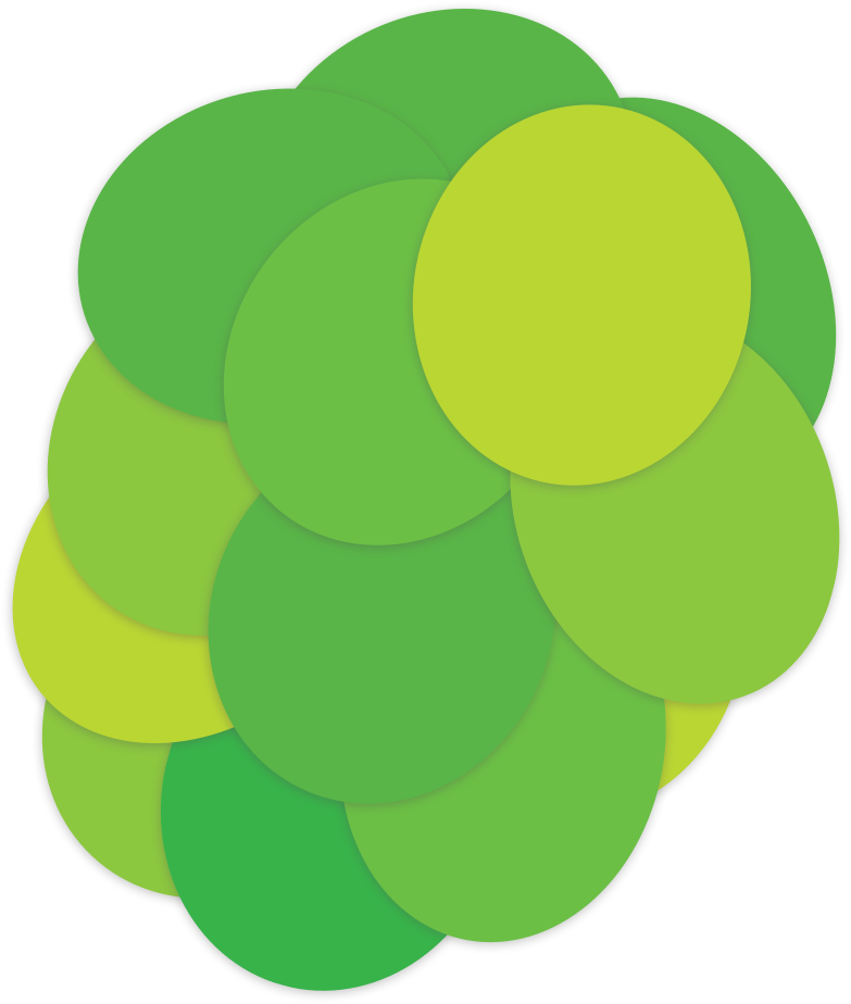 Bright Vines Grape The Crispy Crunchy Grape - Grape (783x924), Png Download
