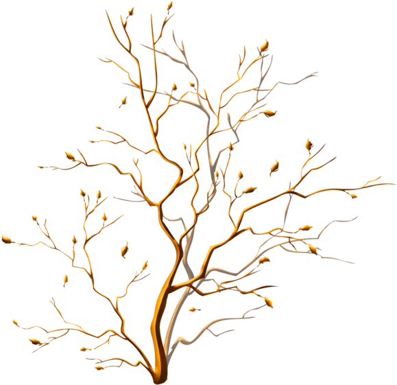 Visit - Arvore Marrom Em Png (600x581), Png Download