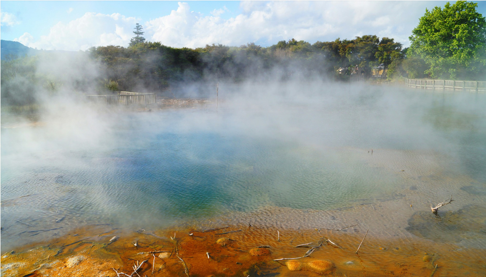 Score 50% - Wallpaper (1000x1000), Png Download