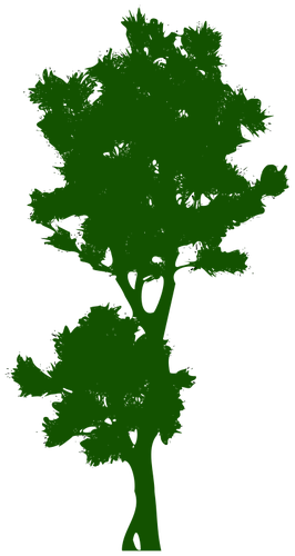 1253 Free Clipart Bare Tree Branches Public Domain - Tree (266x500), Png Download