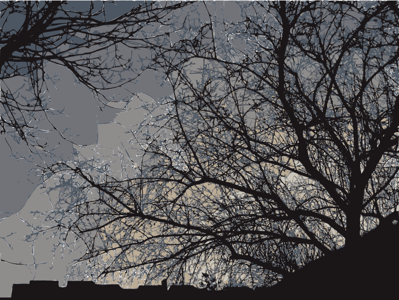 Medium Image - Branch (800x601), Png Download