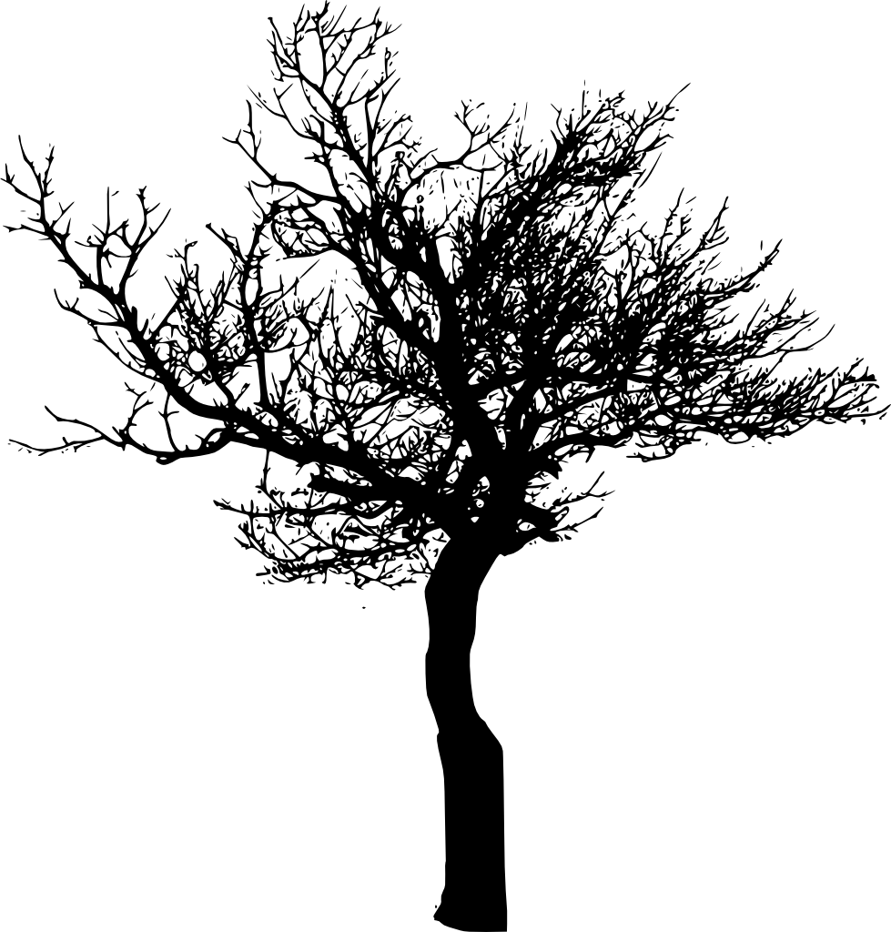 Tree Branch Silhouette Png Download - Tree (979x1024), Png Download