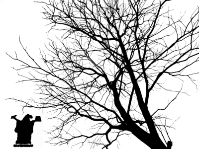 Tree Branch Silhouette Png Tree Silhouette - Informal Invitation To A Traveler: Letters Between (400x300), Png Download