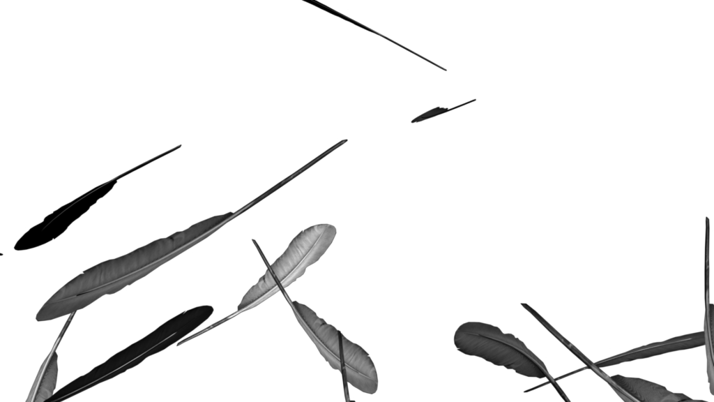Arts Themed Video Clipart Of Quills Or Feathers Falling - Photography (1024x576), Png Download
