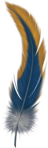 Free Png Feather Png Images Transparent - Feather With Transparent Background (480x480), Png Download