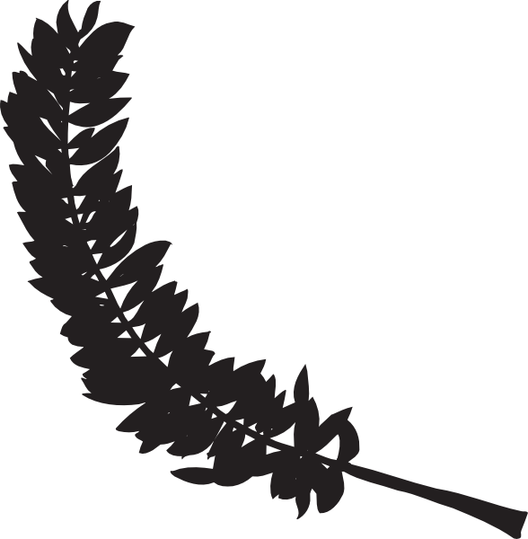 Feather Silhouette Clip Art - Feather Silhouette Transparent (588x600), Png Download