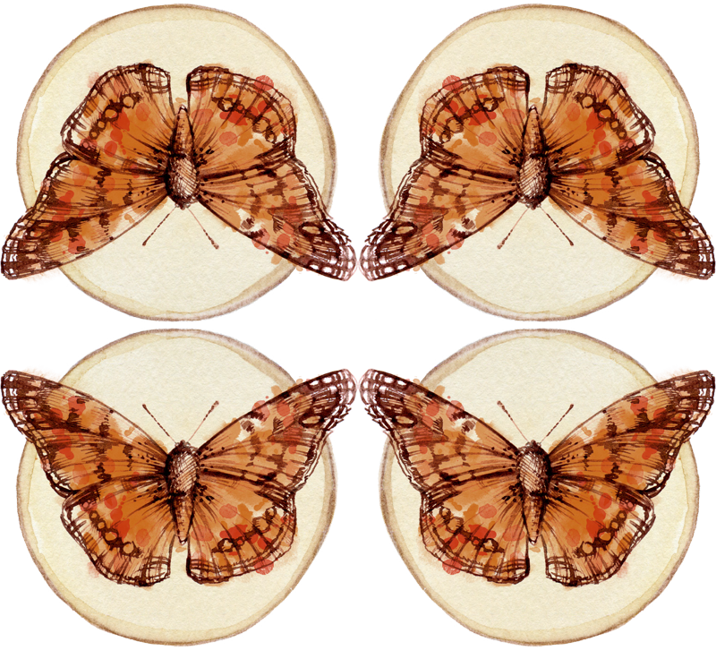 Borboletas Png (800x726), Png Download