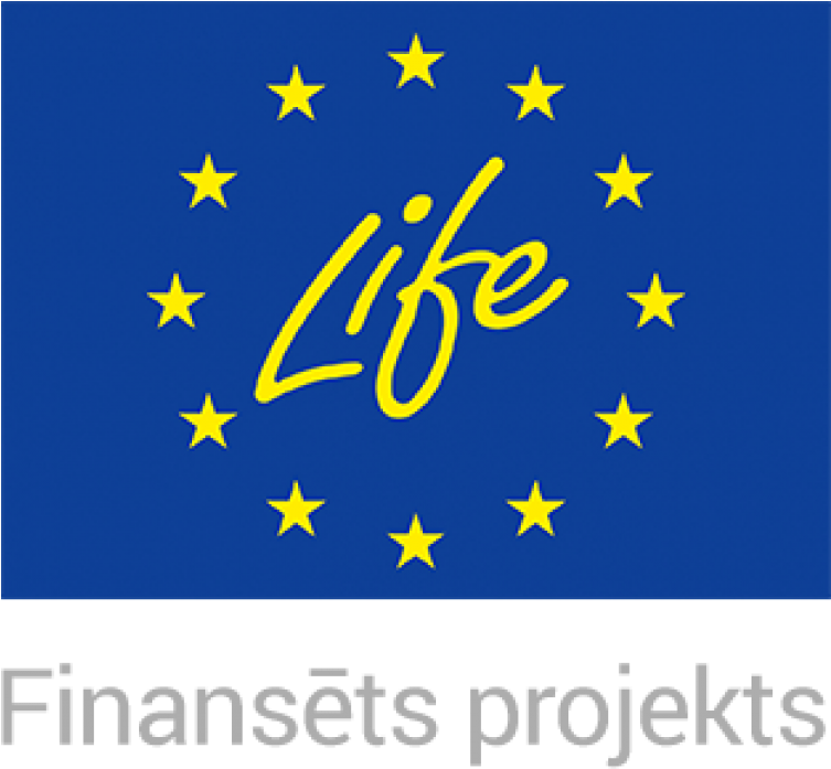 Life 1-800x - Life (800x775), Png Download