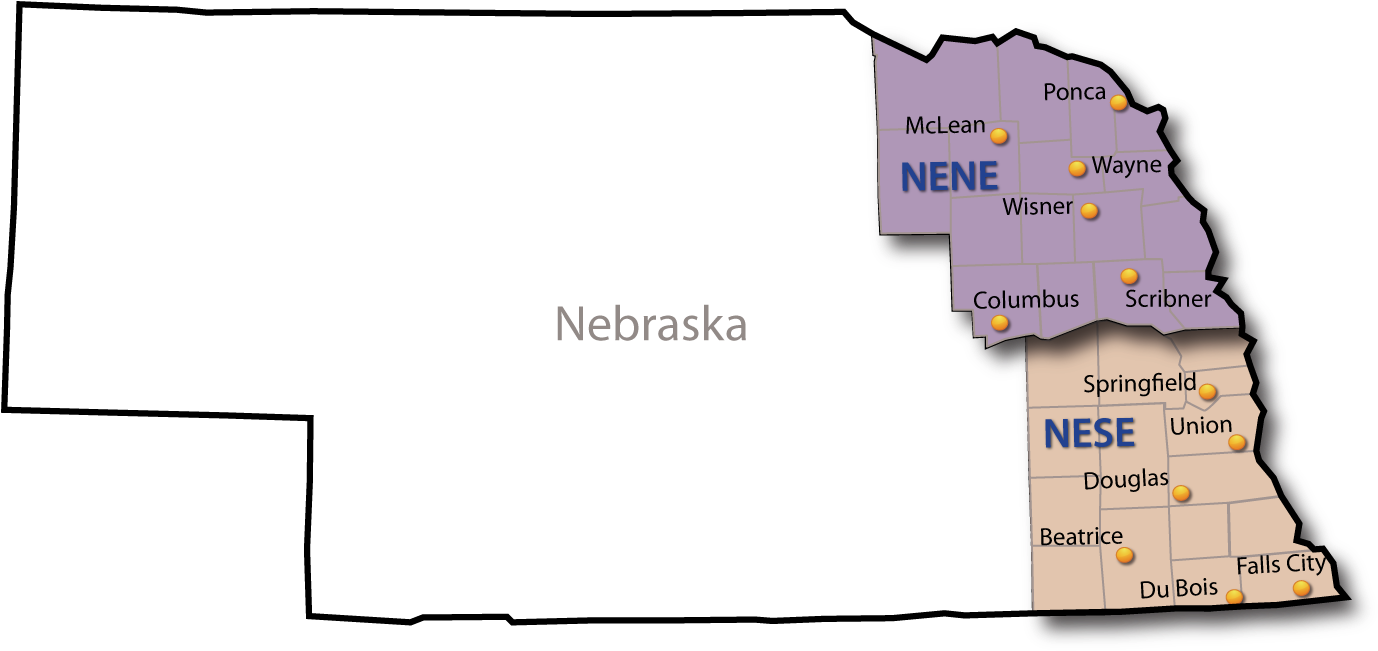 2018 Corn Grain - Diagram (1384x653), Png Download