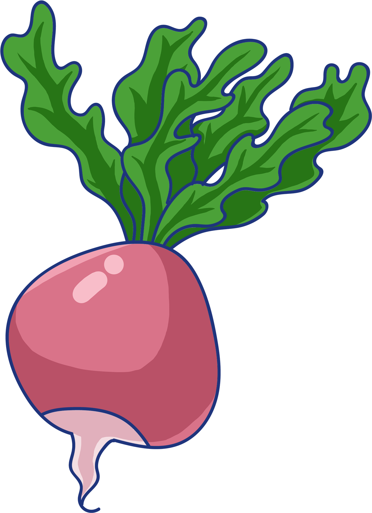 Root Red Radish Green Png And Psd - Radish (2000x2000), Png Download