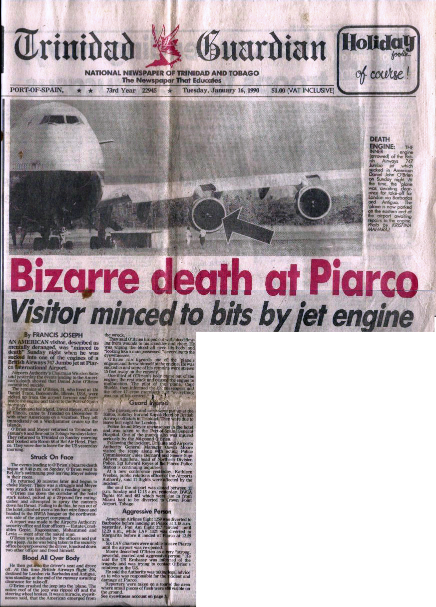 Visitor Minced To Bits By Jet Engine - Newspaper (873x1215), Png Download
