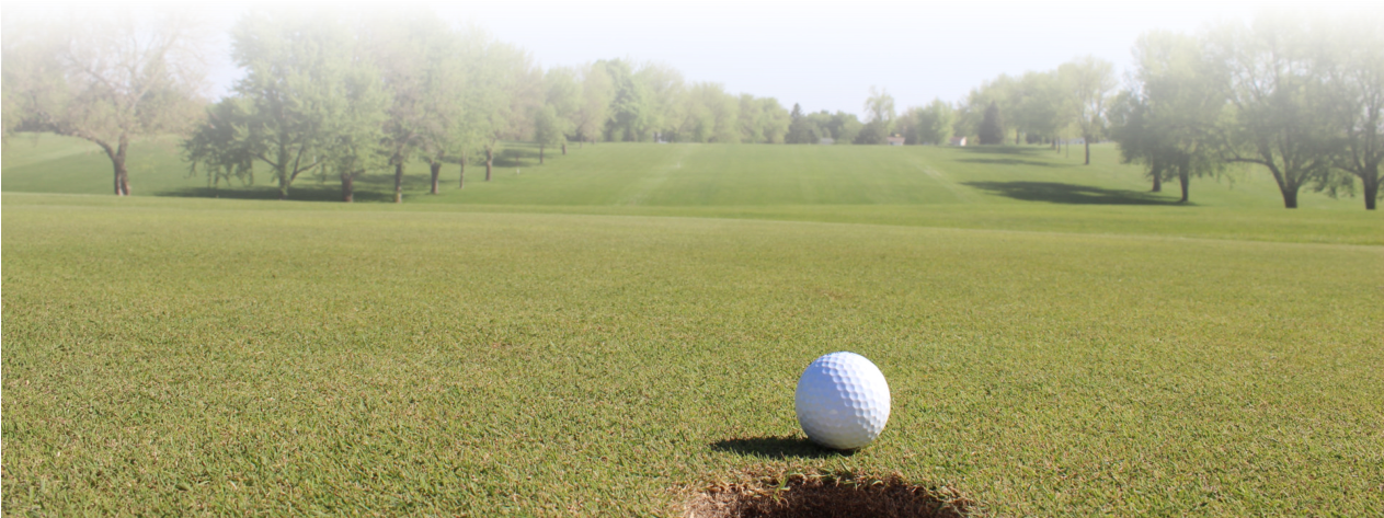 Golf Ball Club Transparent Sports Png Png Golf Ball - Grass (1262x628), Png Download