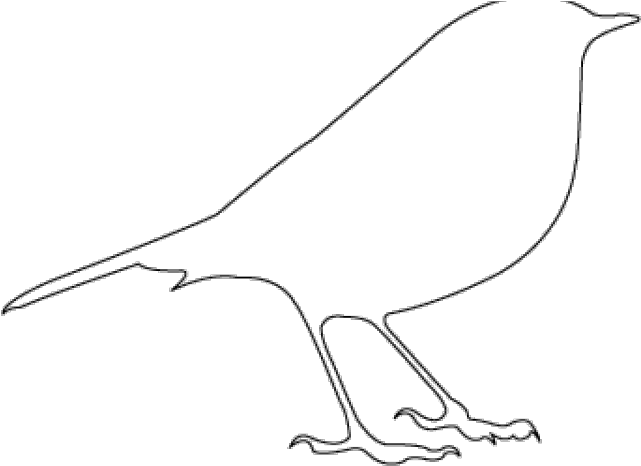 Bird Stencil (640x480), Png Download