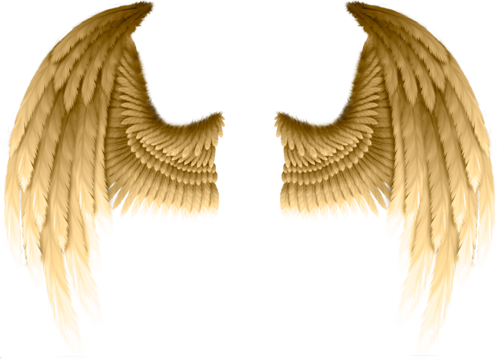 #freetoedit #ftestickers #dt #angelwings #wings #gold - Transparent Gold Angel Wings (1024x737), Png Download