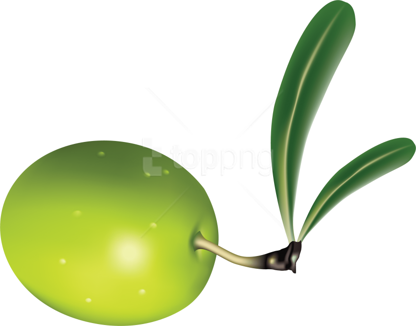 Free Png Download Olives Clipart Png Photo Png Images - Olive Png (850x666), Png Download