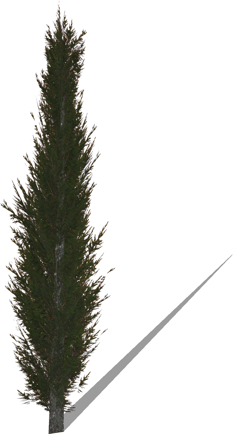 Cypress - Christmas Tree (771x1438), Png Download