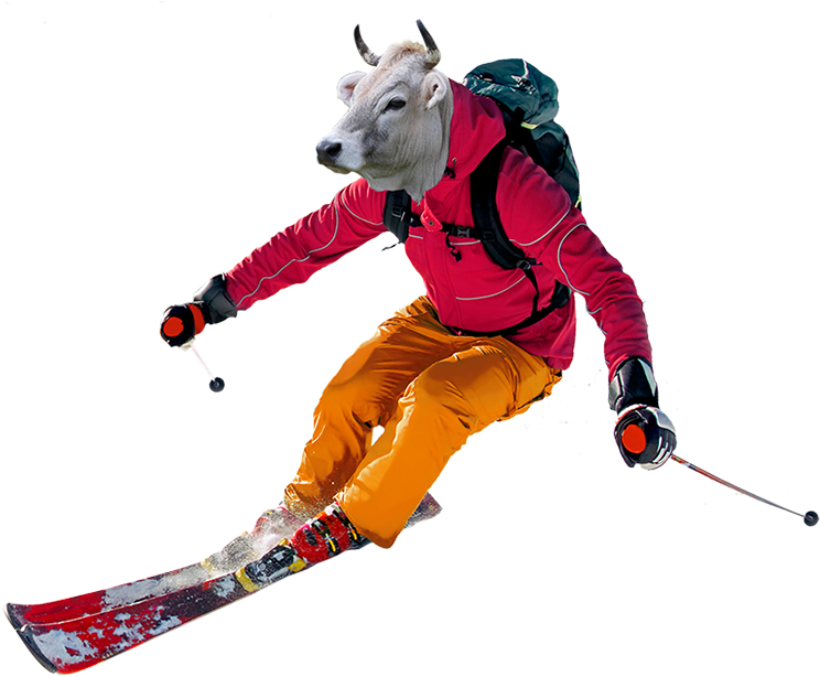 Don´t Want To Bring Your Skis No Worries We'll Take - Polscy Narciarze (780x664), Png Download