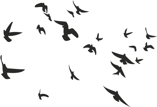 Pajaros Png Para Photoshop - Mountain Hiking Vector (600x600), Png Download