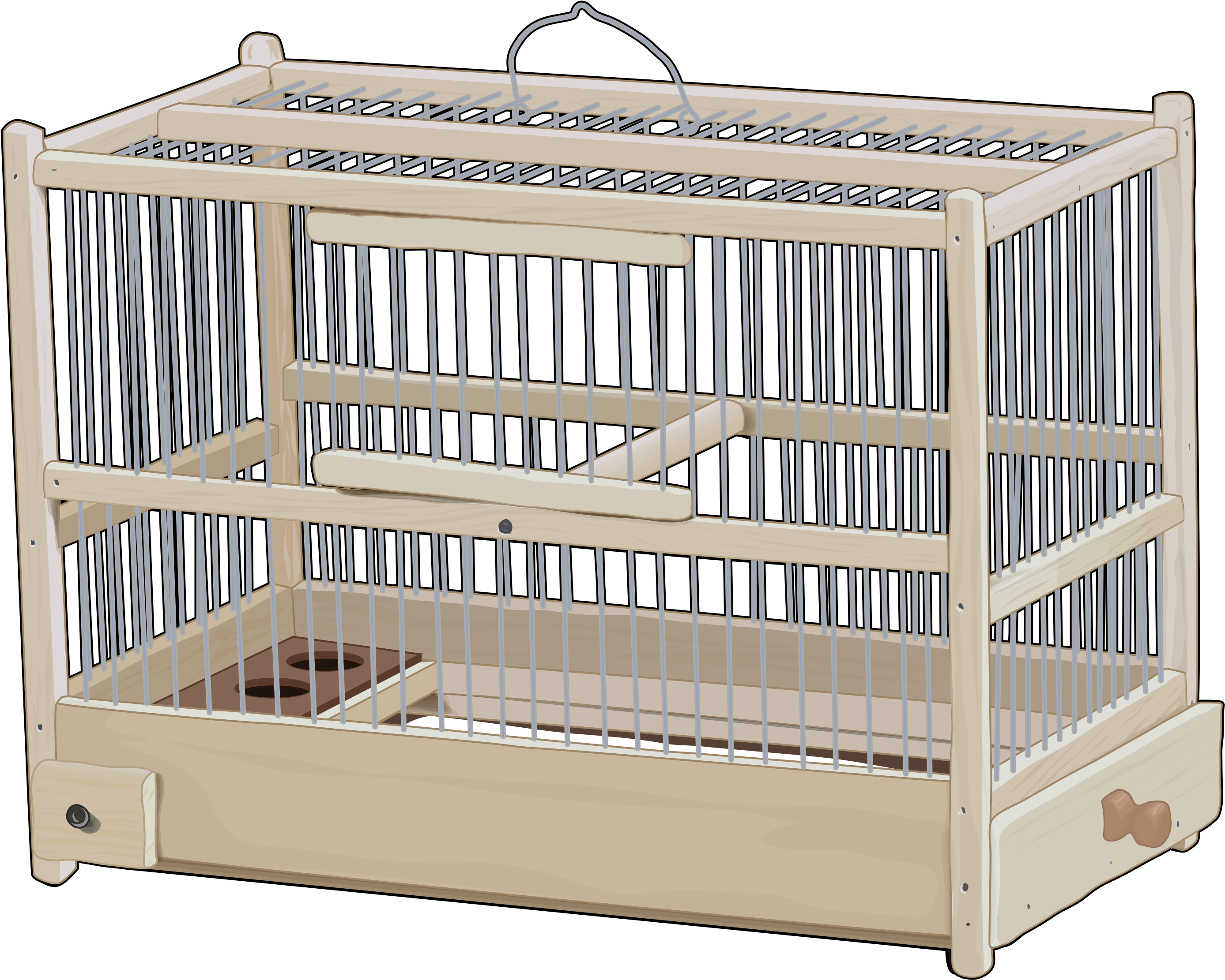 Jaula Pájaros - Cage (2811x2259), Png Download