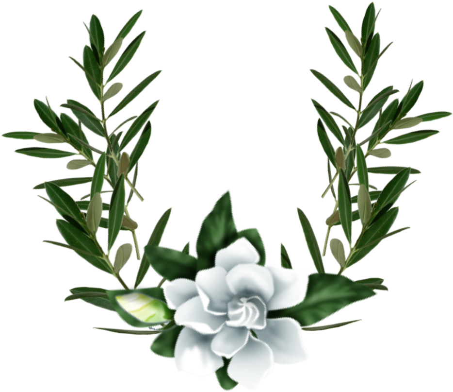 Gardenia Sticker - Jasmine (1024x1024), Png Download