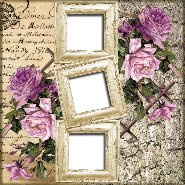 Nm Moldura 15 04 - Garden Roses (600x600), Png Download