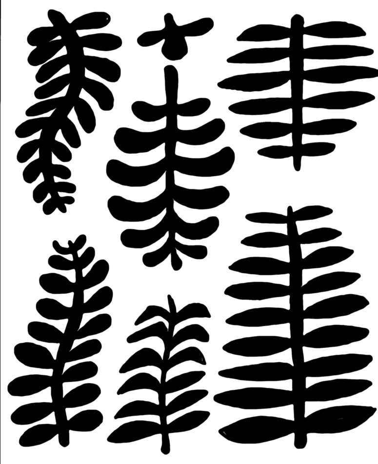 Leaf Shapes Cool Shapes, Leaf Shapes, Line Drawing, - Fern (775x951), Png Download
