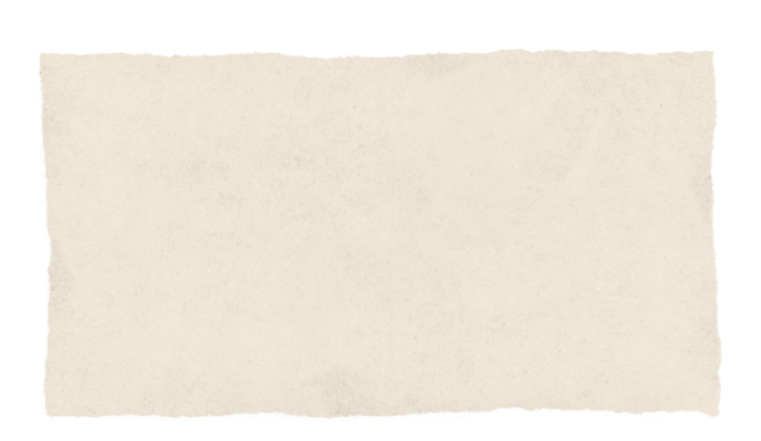 Paper-torn - Construction Paper (800x478), Png Download