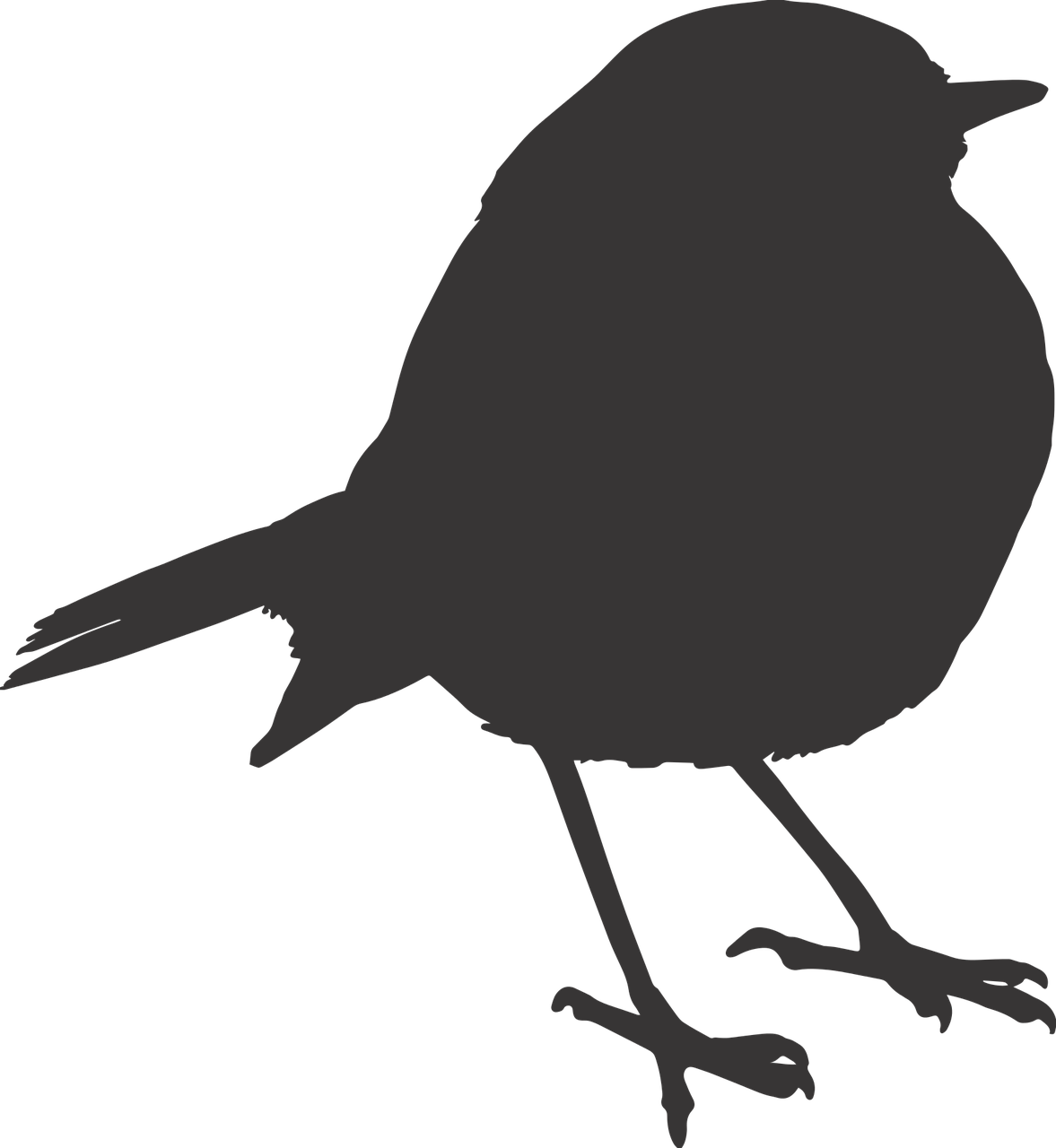 Bird Sparrow Silhouette Orange Png Image - Robin Bird Png (1177x1280), Png Download