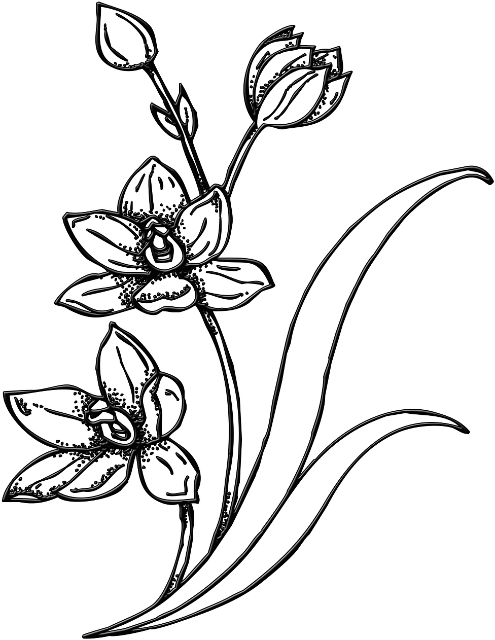 Drawing Spring Garden - Line Art Bunga Png (1280x1280), Png Download