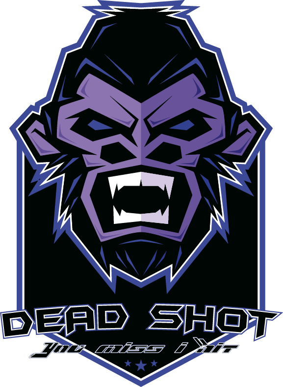 Our Introduction - Logos De Equipos Gamer (577x788), Png Download