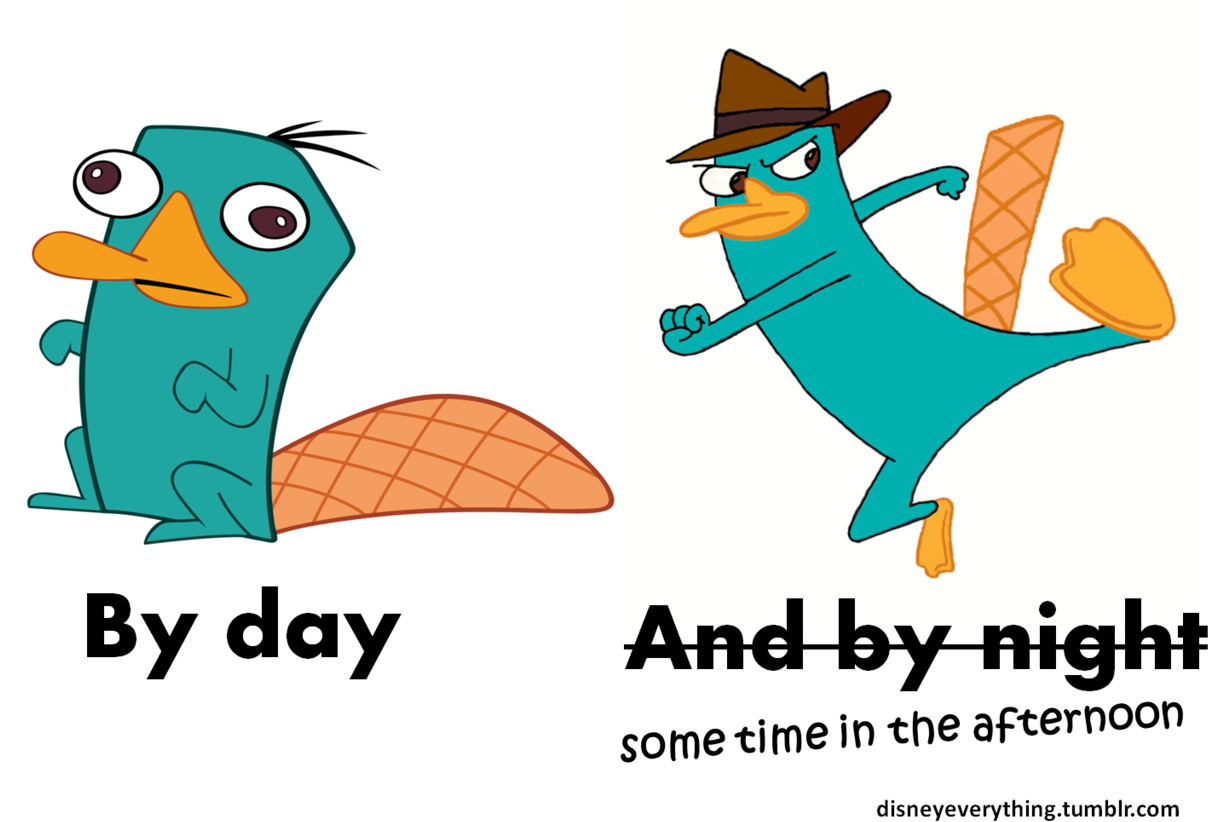 “ Follow For More Disney's Phineas And Ferb Agent P/ - Perry The Platypus Derp (1280x830), Png Download