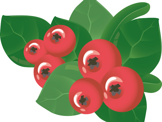 Berry Clipart Mango - Crown Of Thorns (640x480), Png Download