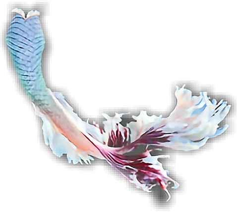 #cute #mermaid #scales #wallpaper - Illustration (478x426), Png Download