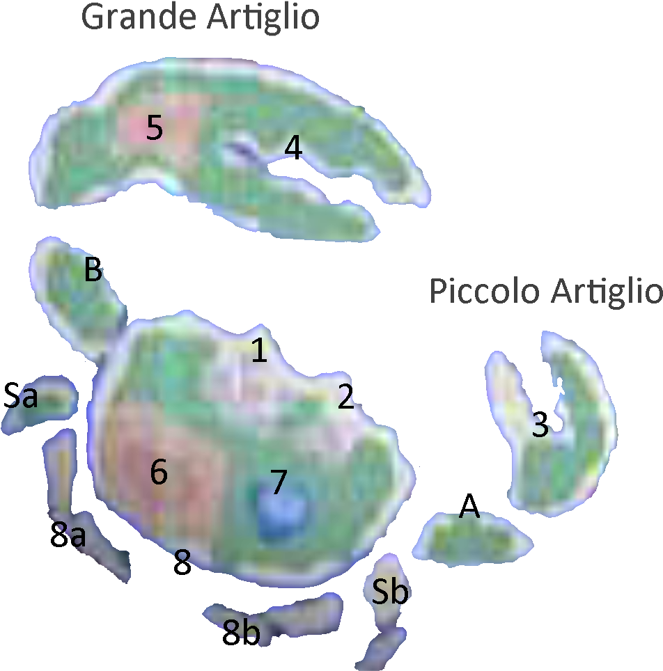 Here Is The Mapping Of Where The Main Levels Will Be - Green Sea Turtle (1801x1248), Png Download