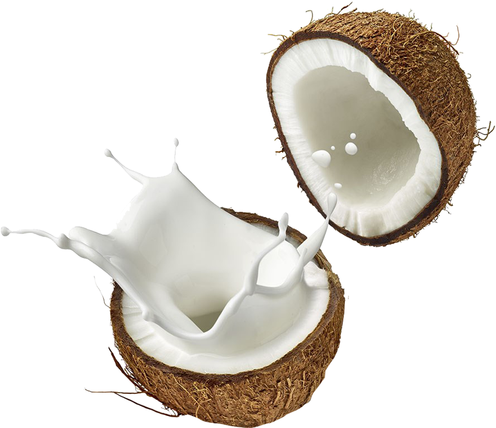 Coconut Png Background Image - Coconut Png (1024x943), Png Download