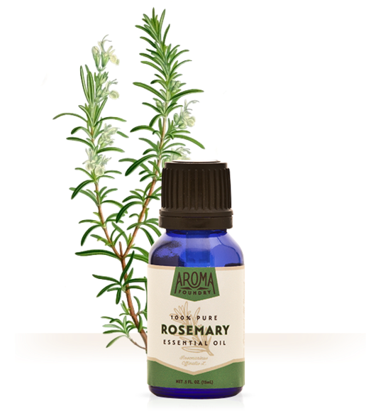 Rosemary Essential Oil Adalah (559x600), Png Download