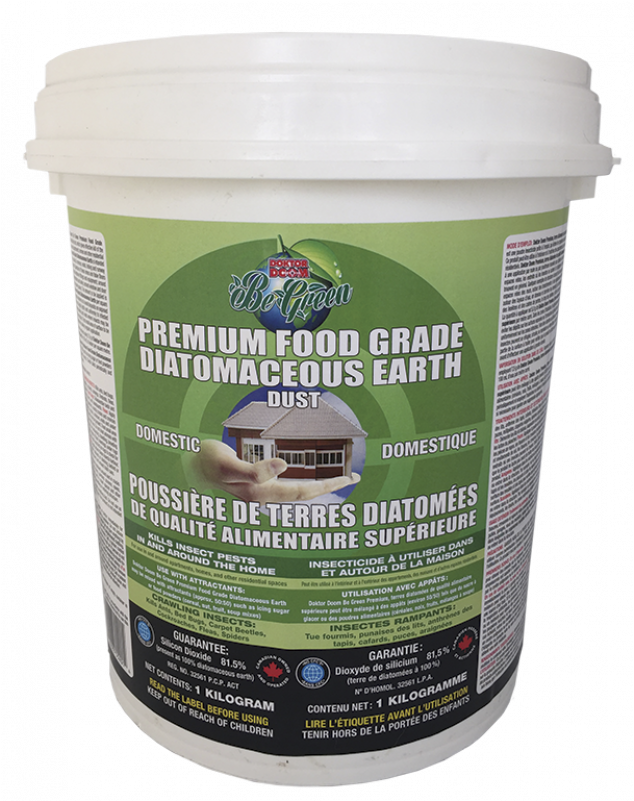 Reptile (800x800), Png Download