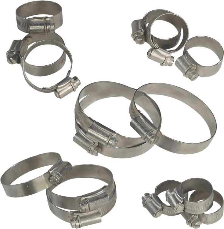 799 X 800 2 - Circle (799x800), Png Download