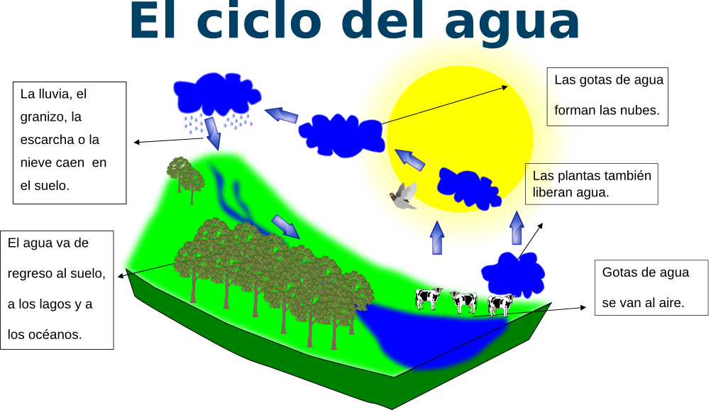 Cicloactividad - Eagle Eye (1002x578), Png Download