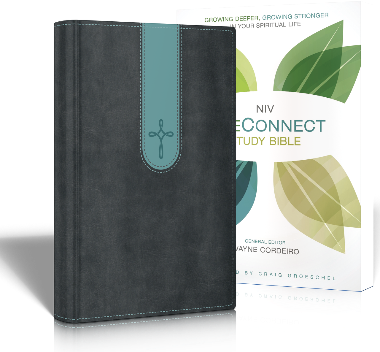 Niv Lifeconnect Bible - Life Connect Study Bible: Growing Deeper, Growing Stronger (1280x1280), Png Download