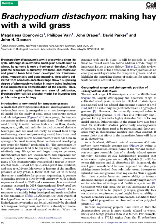 Pdf - Document (600x778), Png Download