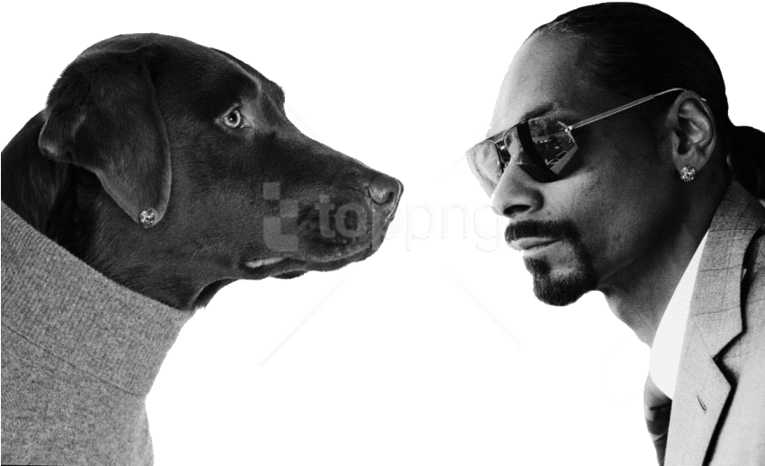 Free Png Snoop Dogg Png - Snoop Dogg Background White (850x529), Png Download